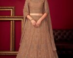 BROWNY SILVER Stone Planned Net INDIAN Lehenga With Pullover