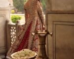 Embellished Front Open Gown And Lehenga Pakistani Bridal Dress