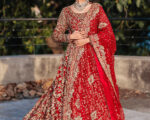 Blood Red Heavily Embellished Lehenga Gown Bridal Outfit