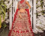 Pakistani Embellished Red Lehenga Choli Bridal Outfit