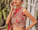 Pakistani Embellished Red Lehenga Choli Bridal Outfit