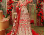 Traditional Red Lehenga Choli Outfit Pakistani Bridal Dress