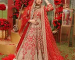 Traditional Red Lehenga Choli Outfit Pakistani Bridal Dress