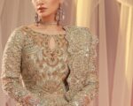 Pakistani Bridal Back Tail Lehenga Dress