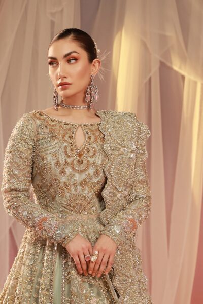 Pakistani Bridal Back Tail Lehenga Dress