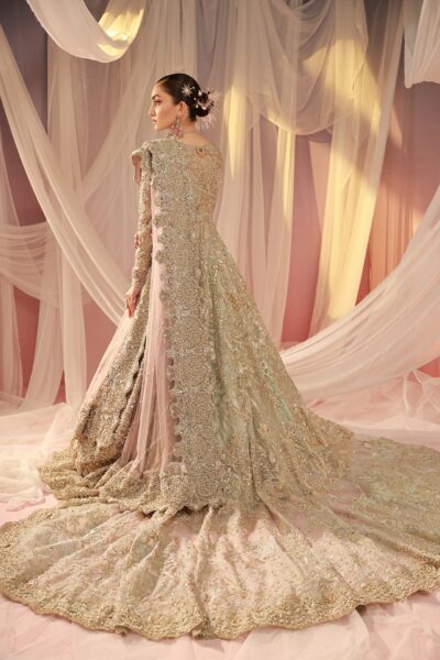 Pakistani Bridal Back Tail Lehenga Dress