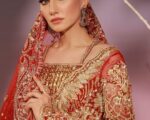 Pakistani Bridal Front Open Gown Lehenga