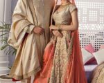 Pakistani Bridal Peach Gold Lehenga Choli Outfit