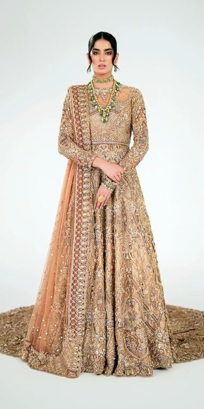 Pakistani Bridal Back Gold Tail Gown