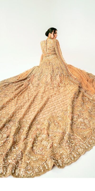 Pakistani Bridal Back Gold Tail Gown