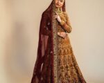 Pakistani Bridal Embellished Lehenga and Choli