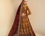 Pakistani Bridal Embellished Lehenga and Choli