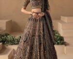 Beautiful Indian Bridal Plum Lehenga Choli