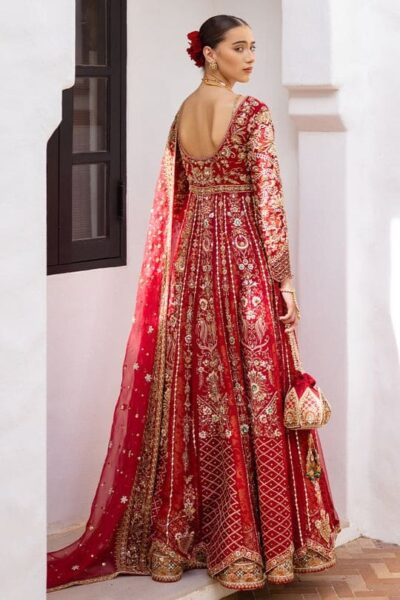 Royal Red Bridal Anarkali Frock Lehenga Wedding outfit