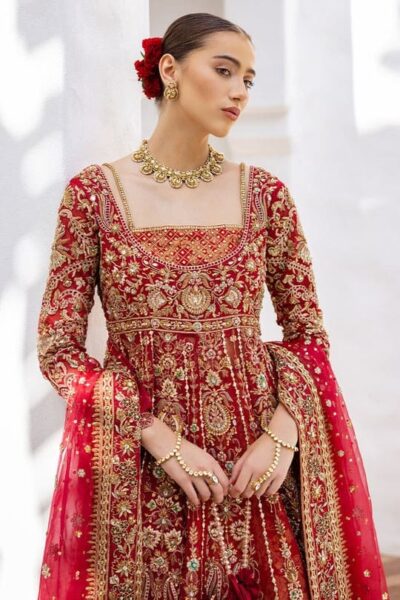 Royal Red Bridal Anarkali Frock Lehenga Wedding outfit