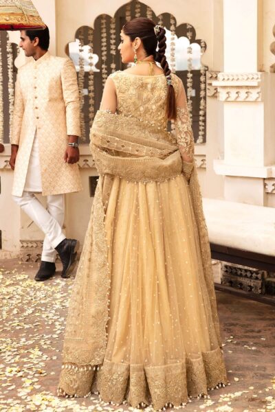 Pakistani Wedding Traditional Anrakha Pishwas Dress - Image 2