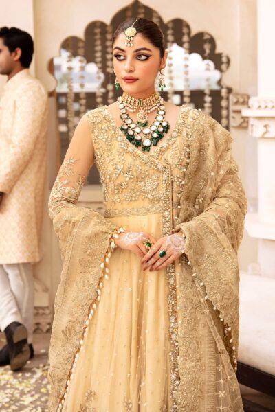 Pakistani Wedding Traditional Anrakha Pishwas Dress - Image 3