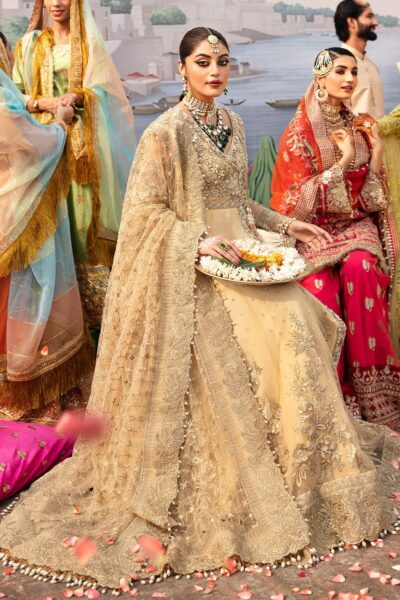 Pakistani Wedding Traditional Anrakha Pishwas Dress - Image 4