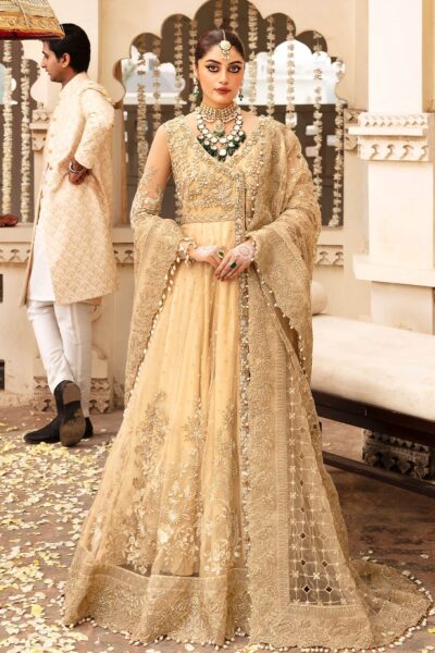 Pakistani Wedding Traditional Anrakha Pishwas Dress