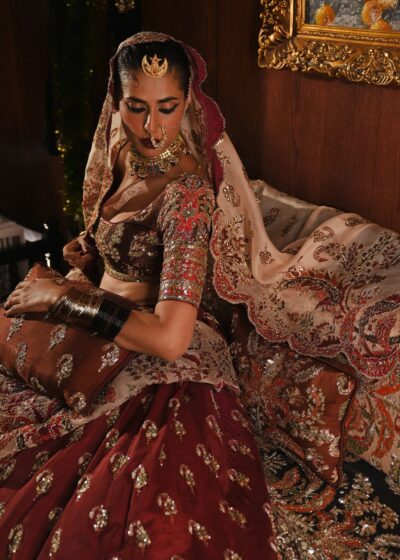 2025 Traditional Indian Bridal Choli Lehenga - Image 5