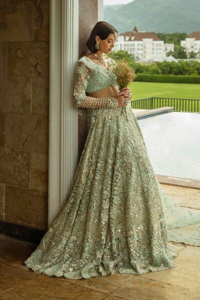 Aqua Green Embroidered Net Lehenga Choli - Image 4