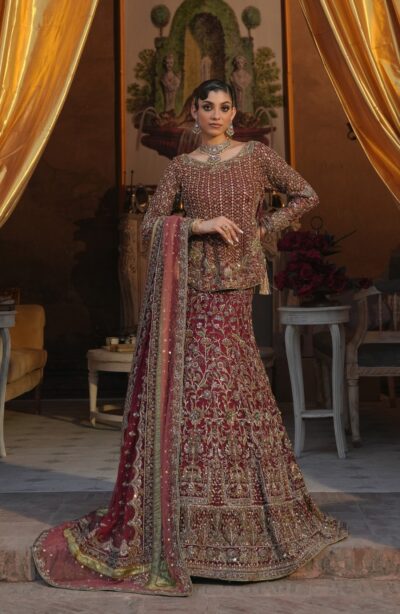 Pakistani Mermaid Bridal Shirt Red Lehenga