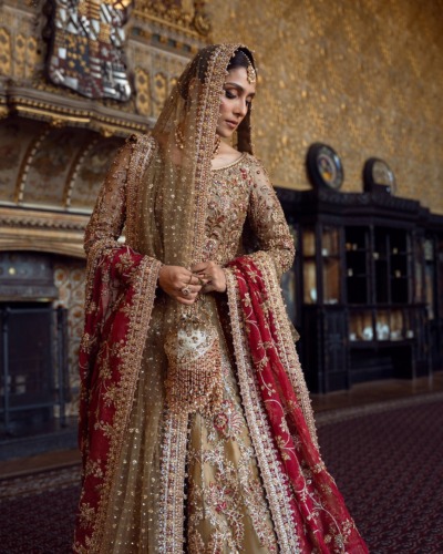 Pakistani Bridal Tissue Lehenga Choli Set - Image 2