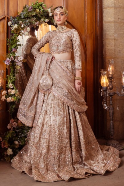 Indian Bridal Lehenga with Tissue Choli for Weddings