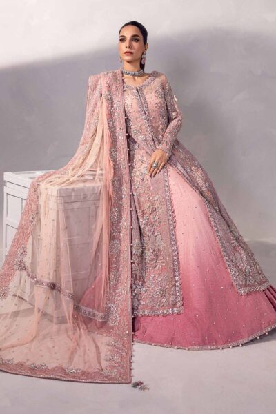 Pakistani A-Line Lehenga Kameez Bridal Dress - Image 5