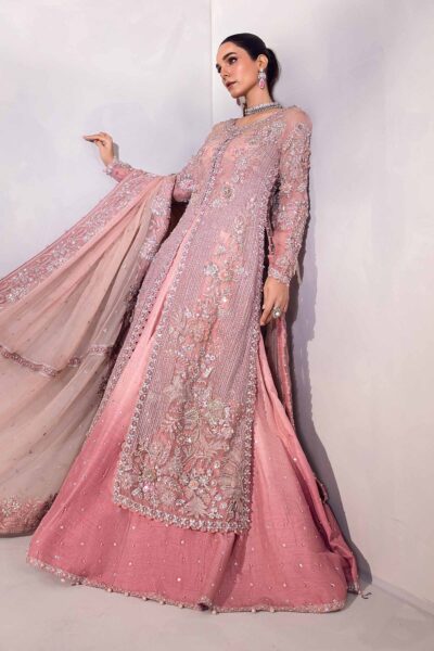 Pakistani A-Line Lehenga Kameez Bridal Dress - Image 6