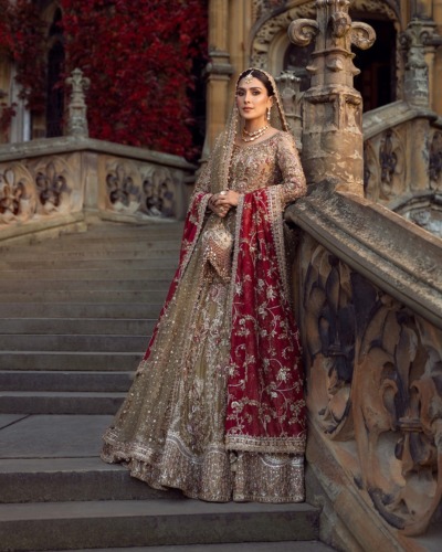 Pakistani Bridal Tissue Lehenga Choli Set