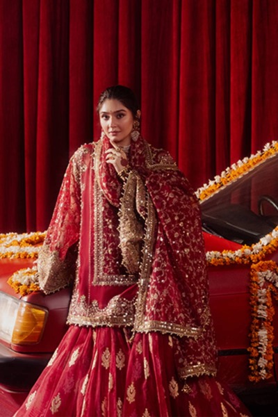 Pakistani Wedding Annari Red Gharara Shirt Outfit - Image 3