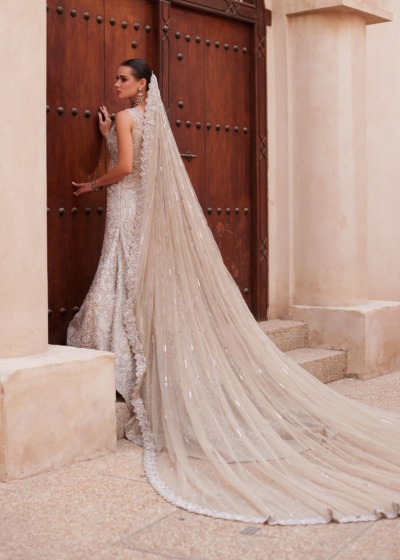 Royal Pakistani Bridal Elegant Silver Gown - Image 2