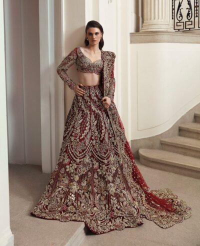 Wedding Red Choli Lehenga Indian Bridal Dress