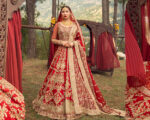 Pakistani Bridal Dresses