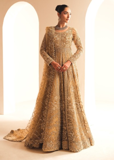 Pakistani Bridal Wear in Gold Tissue Gown Lehenga Style - Image 6