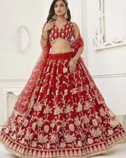 Bridal Dress Butterfly Net Lehenga Choli Indian Wedding Outfit