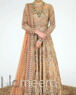 Pakistani Bridal Back Gold Tail Gown
