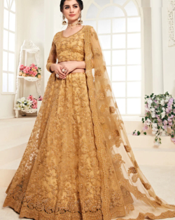 Indian Bridal Dress Mustard Net Lehenga Choli Wedding Outfit