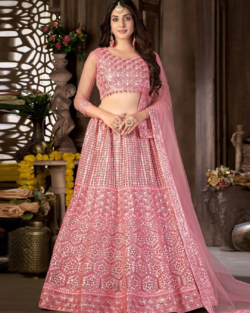 Traditional Pink Resham Lehenga Choli