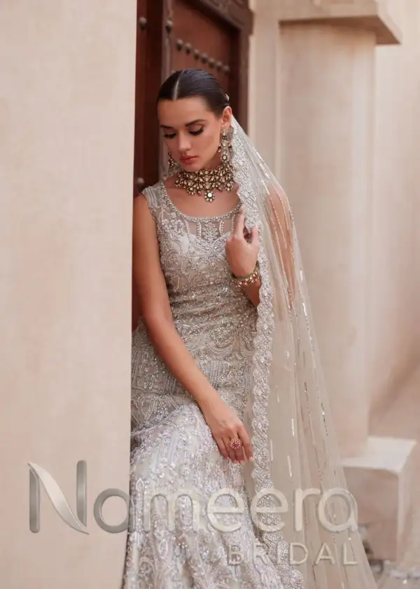 Royal Pakistani Bridal Elegant Silver Gown