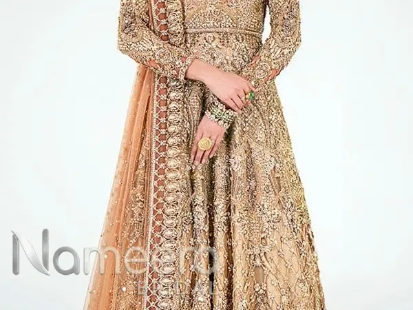 Pakistani Bridal Back Gold Tail Gown