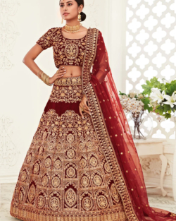 Indian Bridal Red Velvet Lehenga Choli