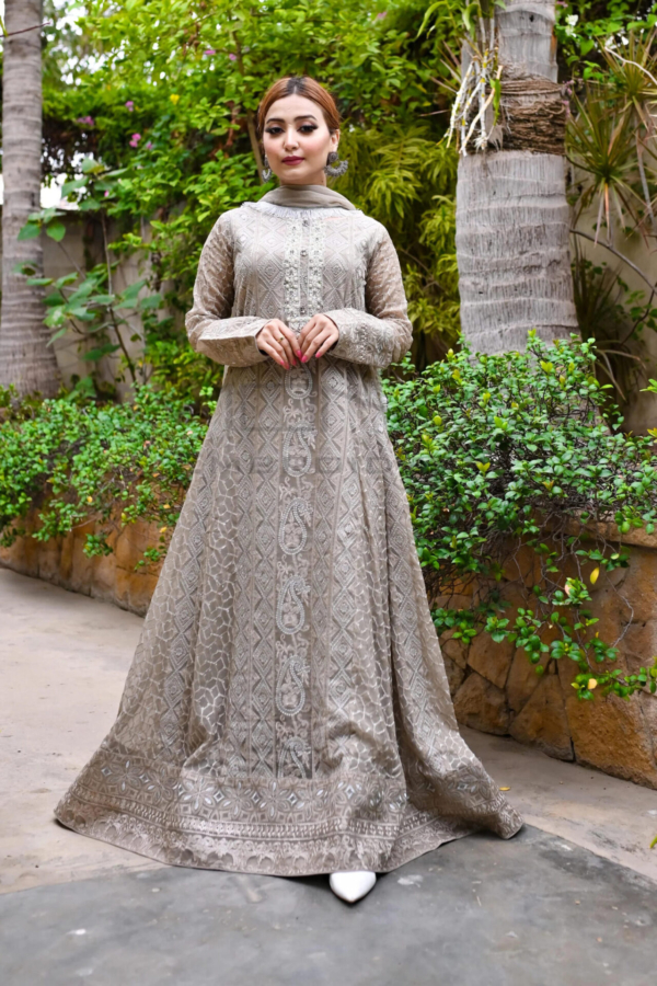 Pakistani Party Grey Embroidered Long Maxi