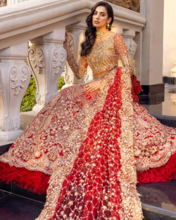 Maroon Embroidered Lehenga Pakistani Wedding Outfit