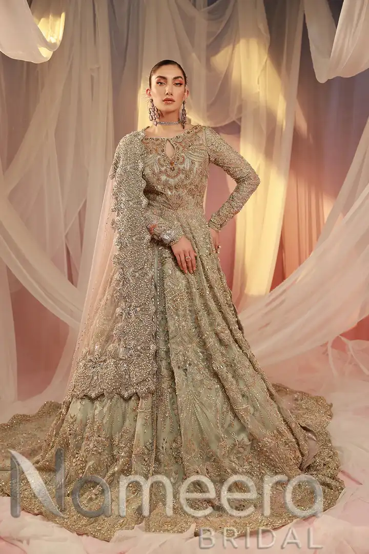 Pakistani Bridal Back Tail Lehenga Dress