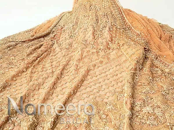 Pakistani Bridal Back Gold Tail Gown