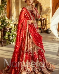 Elegant Red Bridal Lehenga Choli Pakistani Wedding