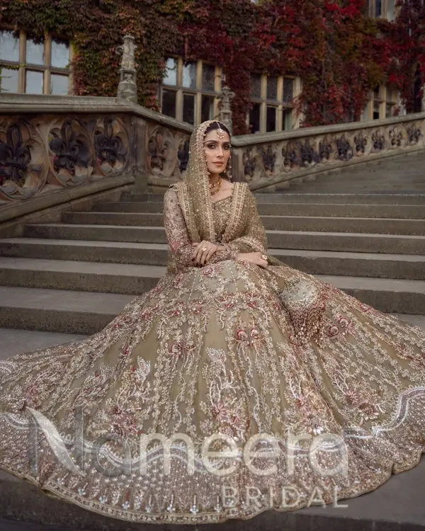 Pakistani Bridal Tissue Lehenga Choli Set
