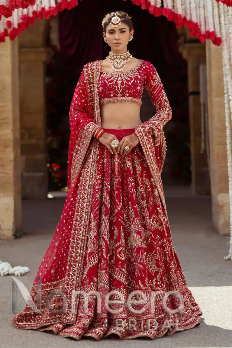 Traditional Indian Bridal Lehenga Choli Wedding Outfit